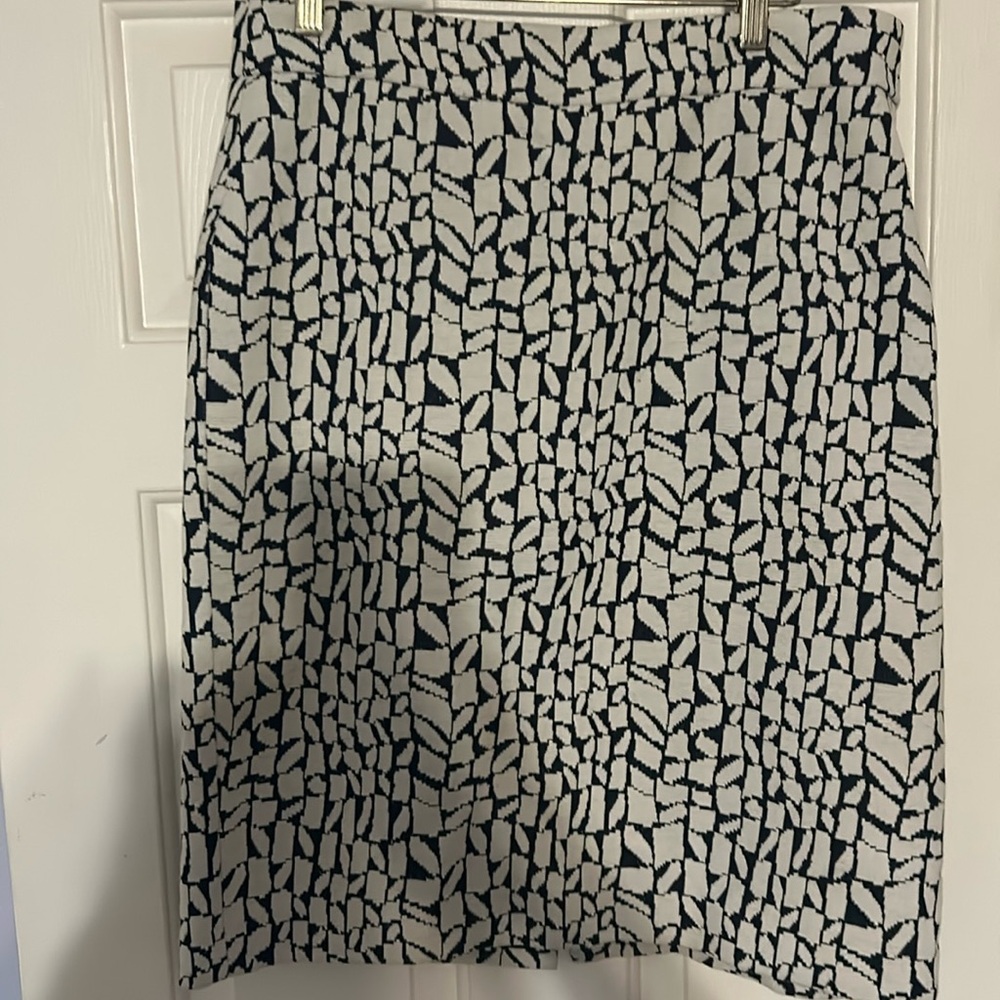 Ann Taylor skirt